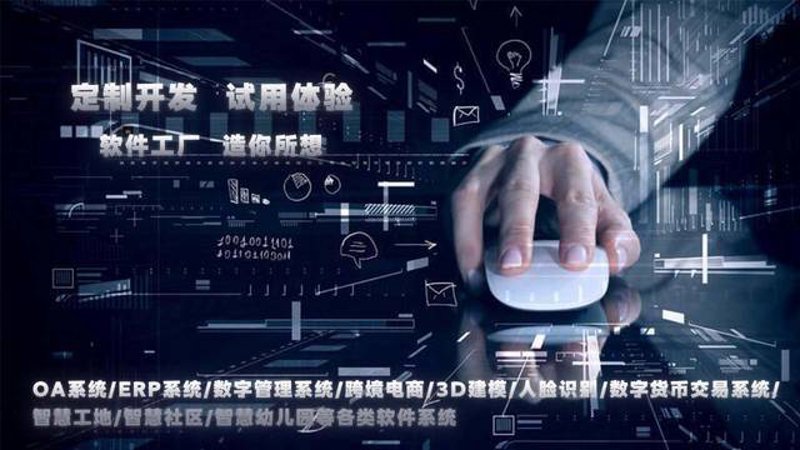 重庆软件开发行业:紧随潮流的新引擎